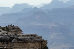 A couple of hikers lend perspective to the vastness of the Grand Canyon.