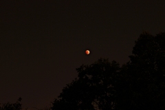 Lunar-Eclipse-10_8_2014